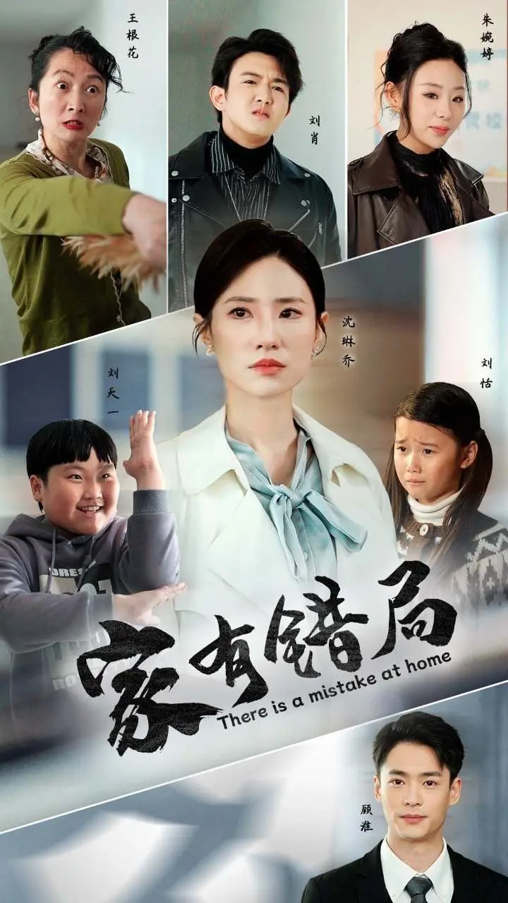 家有错局 海报