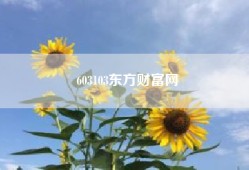 603103东方财富网(2022春节档电影全部)